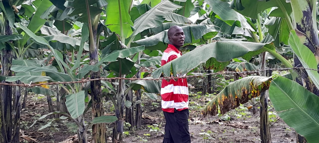 Community Agriculture